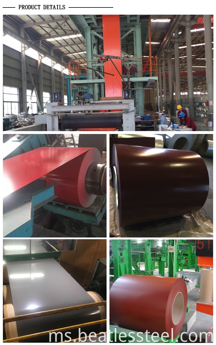 Prepainted Galvanized Steel Coil